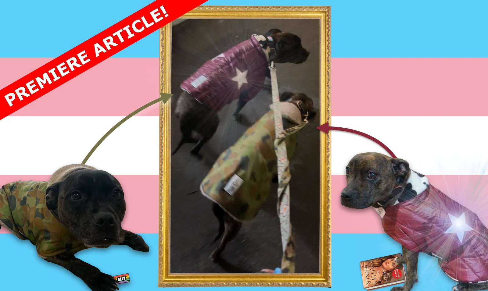 IT Tigger on the computer